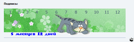 Пример метрики